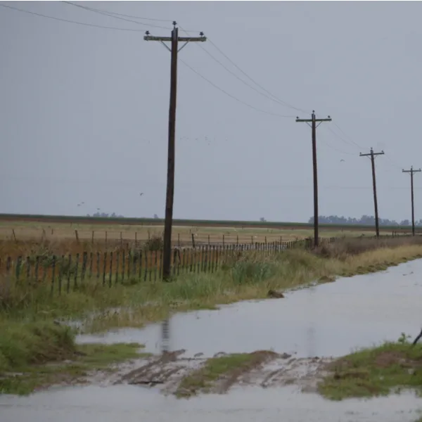 El Gobierno declaró emergencia agropecuaria en Buenos Aires y San Juan